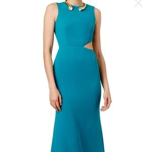 Jay Godfrey Caught in View Gown